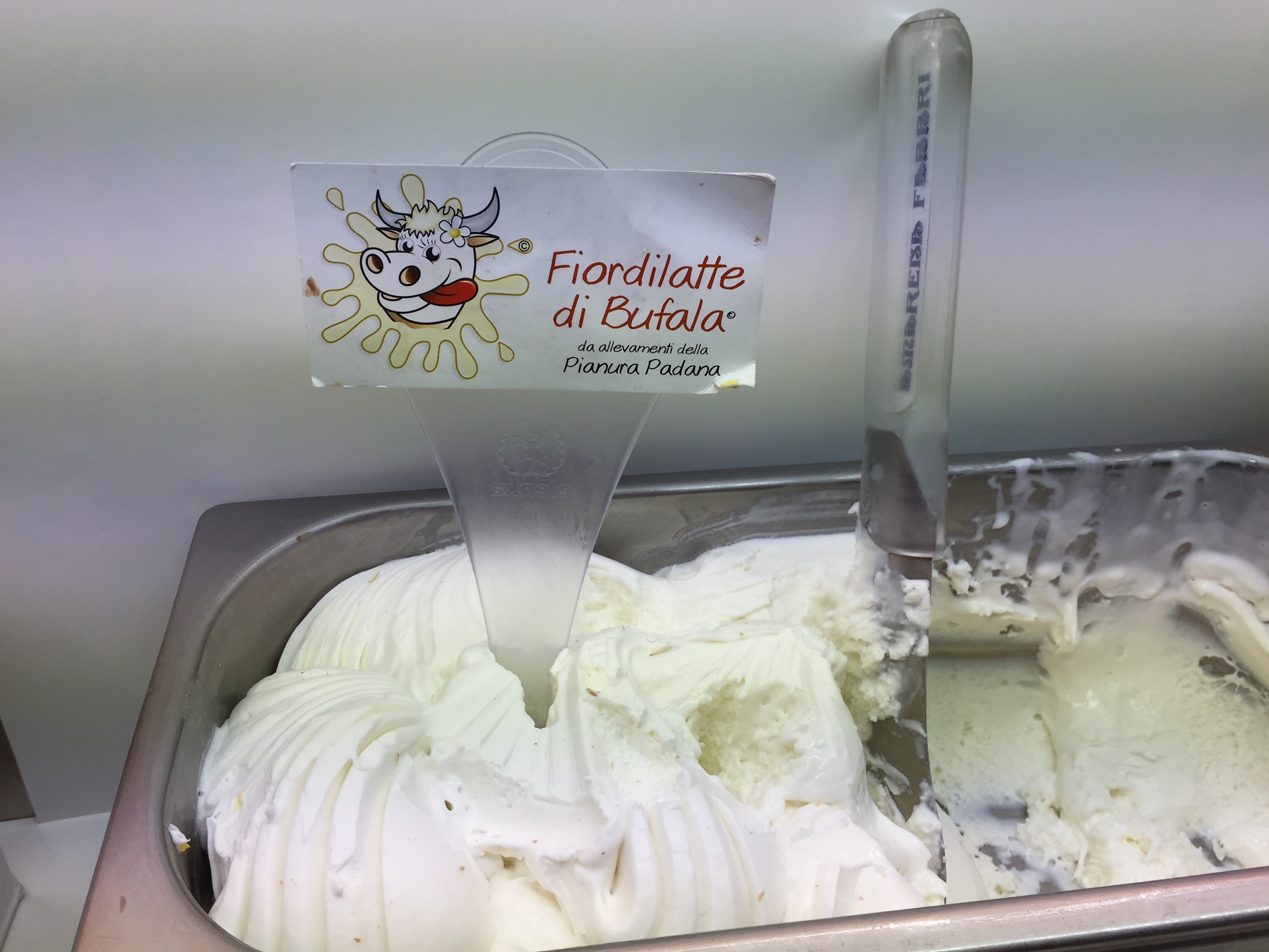 gelato per cani ferrara