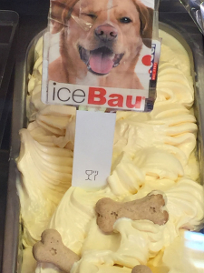 gelato-artigianale-per-cani-ice-bau-ferrara